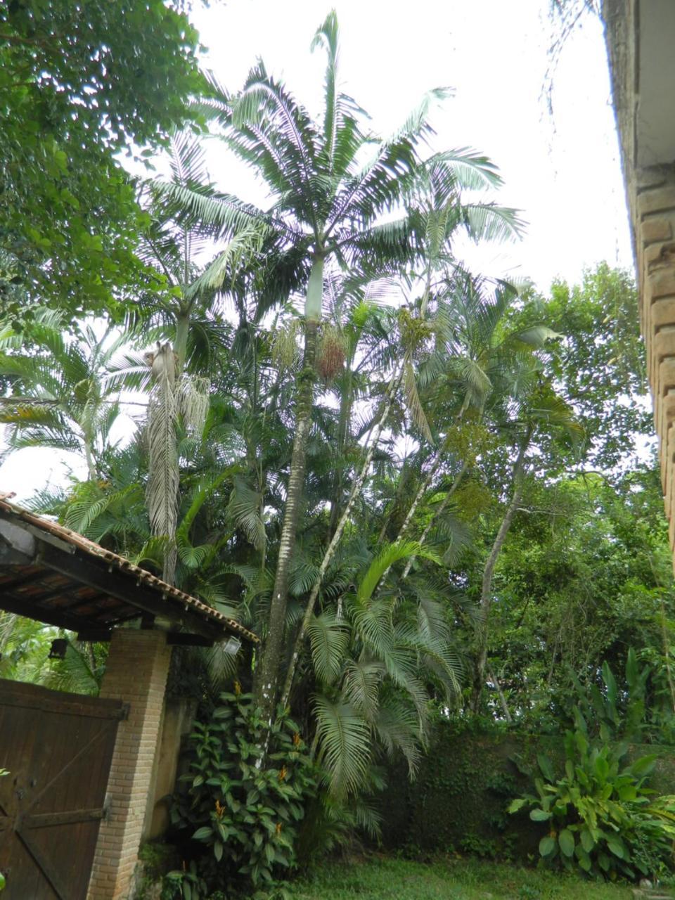 Solar Das Canoas Prumirim Ubatuba Ngoại thất bức ảnh